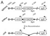thumbnail image from paper