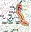 thumbnail image from paper