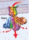thumbnail image from paper