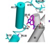 thumbnail image from paper