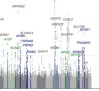 thumbnail image from paper