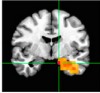 thumbnail image from paper