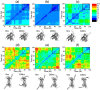 thumbnail image from paper