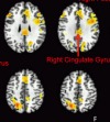 thumbnail image from paper