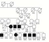 thumbnail image from paper