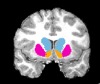 thumbnail image from paper