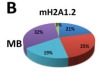 thumbnail image from paper