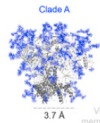 thumbnail image from paper