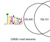 thumbnail image from paper