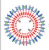 thumbnail image from paper