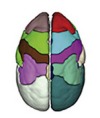 thumbnail image from paper