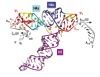 thumbnail image from paper