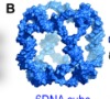 thumbnail image from paper