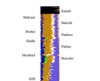 thumbnail image from paper