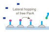 thumbnail image from paper