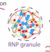 thumbnail image from paper