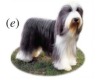 thumbnail image from paper