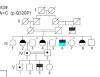 thumbnail image from paper