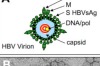 thumbnail image from paper