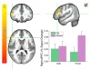 thumbnail image from paper
