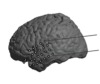 thumbnail image from paper