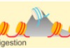 thumbnail image from paper