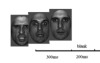 thumbnail image from paper