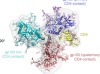 thumbnail image from paper
