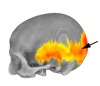 thumbnail image from paper