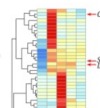 thumbnail image from paper