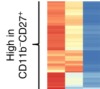 thumbnail image from paper
