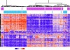 thumbnail image from paper