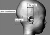 thumbnail image from paper