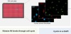 thumbnail image from paper