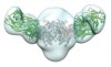 thumbnail image from paper