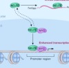 thumbnail image from paper