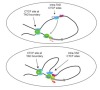 thumbnail image from paper