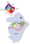 thumbnail image from paper
