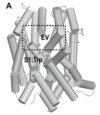 thumbnail image from paper
