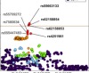 thumbnail image from paper