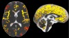 thumbnail image from paper