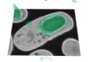 thumbnail image from paper