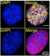 thumbnail image from paper