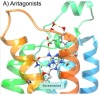 thumbnail image from paper