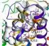 thumbnail image from paper