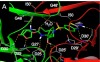 thumbnail image from paper