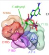 thumbnail image from paper