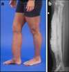 thumbnail image from paper