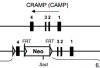 thumbnail image from paper
