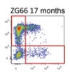 thumbnail image from paper